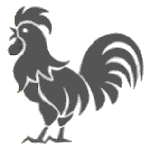 Rooster