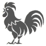 the ROOSTER